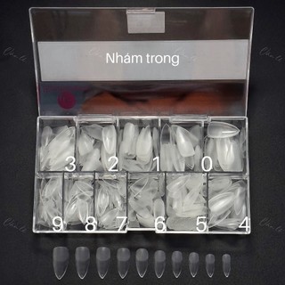 Móng úp Hsm nhám cao cấp mẫu oval