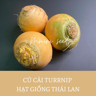 Hạt giống củ cải turnip siêu ngon