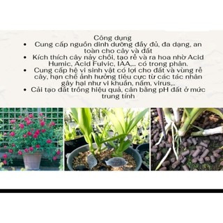 Phân trùng quế dạng viên nén 200g