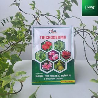 Nấm đối kháng Trichoderma sp Streptomyces, chế phẩm hữu cơ gói 100g | Living Decor