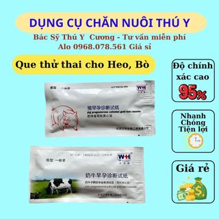 Que thử thai cho heo, độ chính xác cao, nhanh, tiện