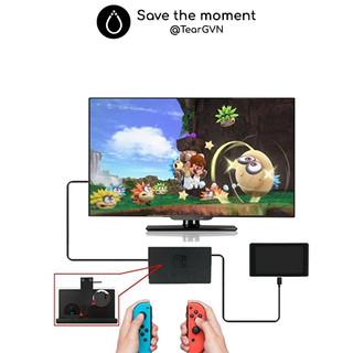 Cáp nối dài Type-C AOLION từ Dock đến máy cho Nintendo Switch Oled / Switch v1,2