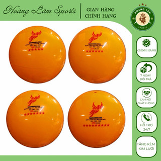 Bóng chuyền hơi Phượng Hoàng tiêu chuẩn thi đấu - Hoàng Lâm Sports