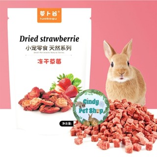  Dâu sấy lạnh thức ăn dặm dinh dưỡng cho hamster thỏ bọ sóc cảnh các loại 