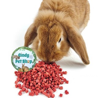  Dâu sấy lạnh thức ăn dặm cho Hamster Thỏ Bọ Sóc... 