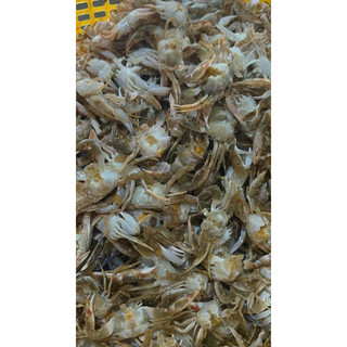 1kg Ghẹ sữa tươi nguyên con (hoả tốc tphcm)