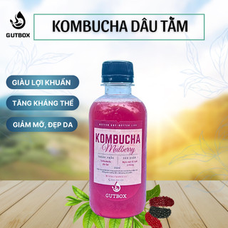 1 lít kombucha tươi - dâu tằm
