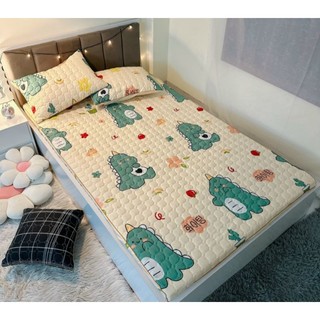 Bộ Ga Chun Cotton Poly Trần bông dày dặn nhiều màu sắc