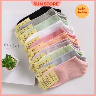 Tất vớ lười basic vải cotton thấm hút mồ hôi