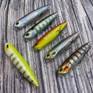 PL Fishing Mồi Câu PL59/PL58 10,5g/21g 85mm/110mm Walking Dog