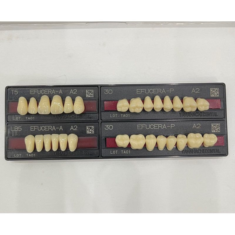 RĂNG NHỰA THÁO LẮP EFUCERA - RĂNG COMPOSITE (1 vỉ)