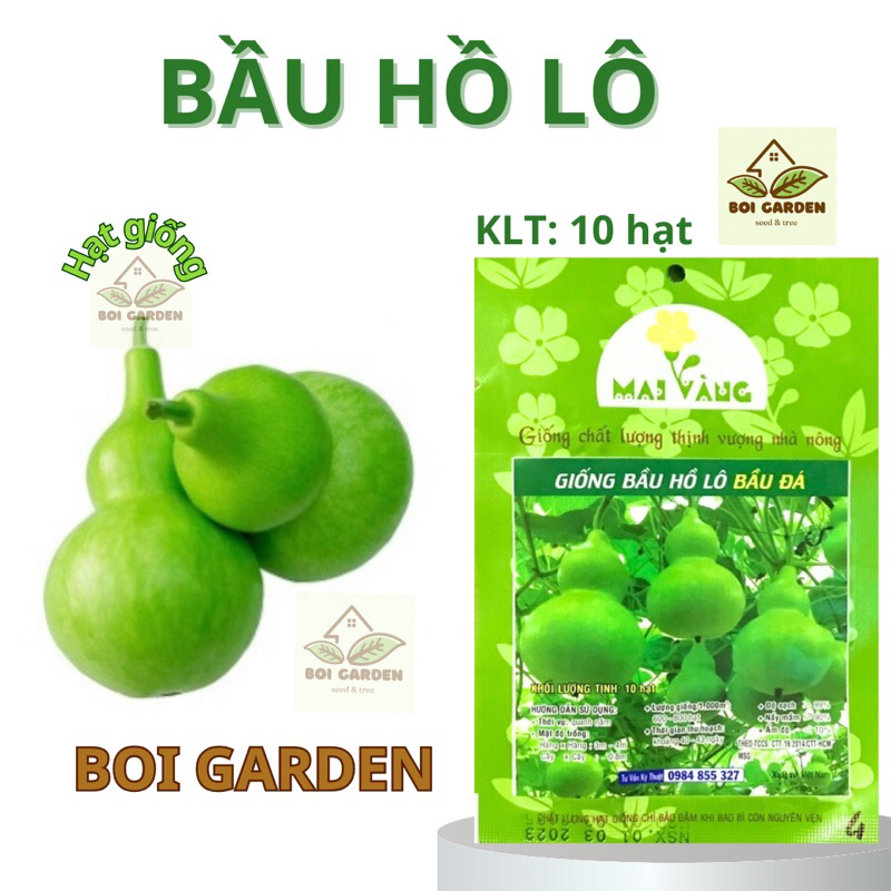 Hạt giống Bầu Hồ Lô bầu đá (50)