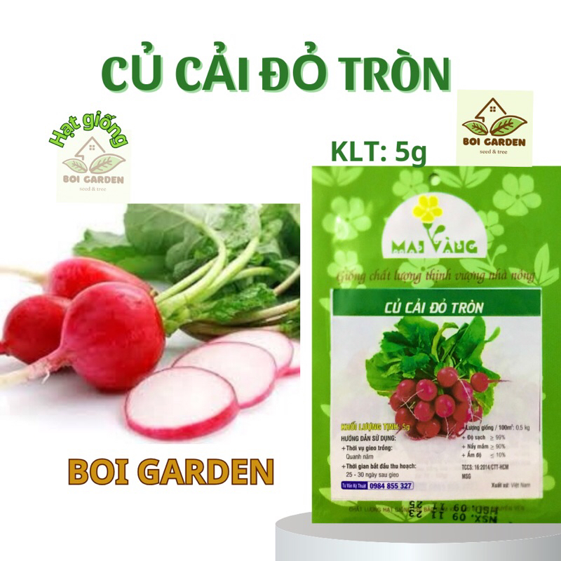 Hạt giống Củ Cải Đỏ Baby (63)