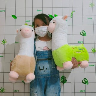 GẤU BÔNG LẠC ĐÀ ALPACA SIZE 35CM
