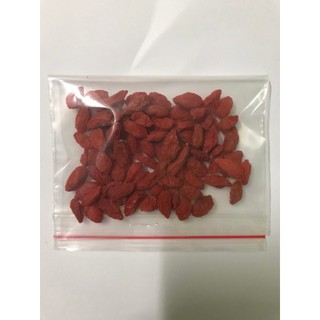 Đông Trùng Hạ Thảo túi 100g (Vàng, sạch, khô )