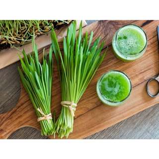 Bột cỏ lúa mạch hữu cơ Bio Barley Grass (Raab - Dragon Superfoods) - Bột thực vật - Ăn thực dưỡng - OrganicStores