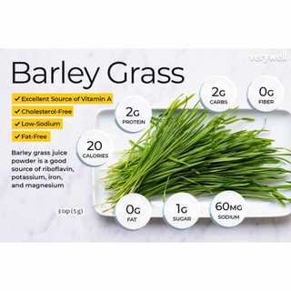 Bột cỏ lúa mạch hữu cơ Bio Barley Grass (Raab - Dragon Superfoods) - Bột thực vật - Ăn thực dưỡng - OrganicStores