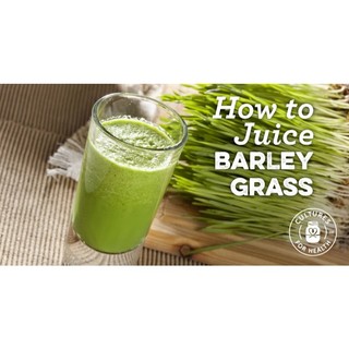 Bột cỏ lúa mạch hữu cơ Bio Barley Grass (Raab - Dragon Superfoods) - Bột thực vật - Ăn thực dưỡng - OrganicStores