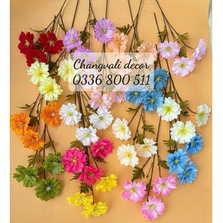 Cành hoa cúc bướm loại 5 bông cao 70cm