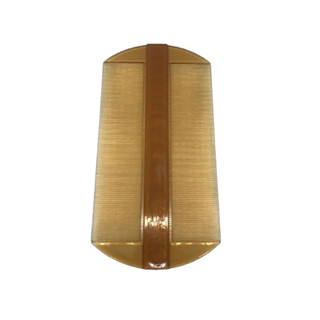 [HÀNG CÓ SẴN]Lược dày chải chí(chấy) cho bé(13x7cm)
