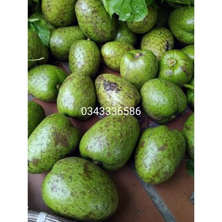 quả bình bát phơi khô 1kg