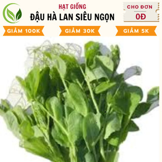 Hạt giống đậu hà lan siêu ngọn - chất lượng cao, dễ trồng, năng suất tốt