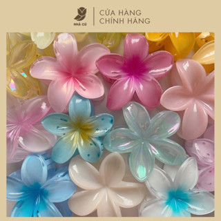  Màu Lạ Kẹp Tóc Hoa Sứ Emijay Màu Gradient NHÀ CÚ Phụ Kiện Cặp Tóc Đi Biển Hawaii Thời Trang Hàn Quốc Hot Trend 5777 