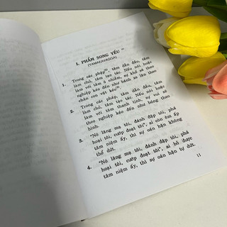 Sách - Lời Phật Dạy (Kinh Pháp Cú Dhammapada) - Thích Thiện Siêu dịch