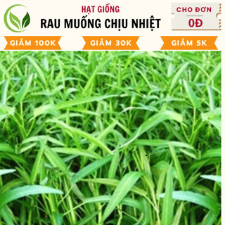 Hạt giống Rau Muống chịu nhiệt tốt, trồng quanh năm