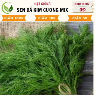 Hạt Giống Hành Lá - Chất Lượng Cao, Dễ Trồng, Năng Suất Tốt