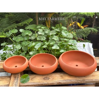 [ MAY ] Chậu Đất Nung Ang Bonsai Thấp  - Trồng Xương Rồng , Sen Đá...