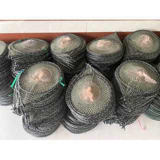 combo 10 cái lờ vành nhựa