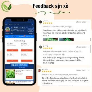 Bộ 3 Món Dụng Cụ Làm Vườn To (Xẻng Làm Vườn - Xới Đất - Cào Đất)