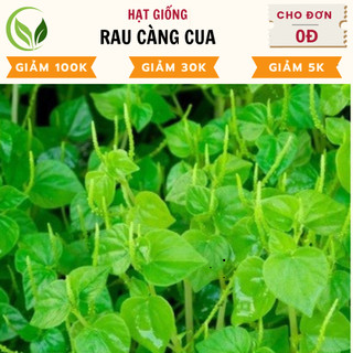 Hạt Giống Rau Càng Cua - Chất Lượng Cao, Dễ Trồng, Năng Suất Tốt