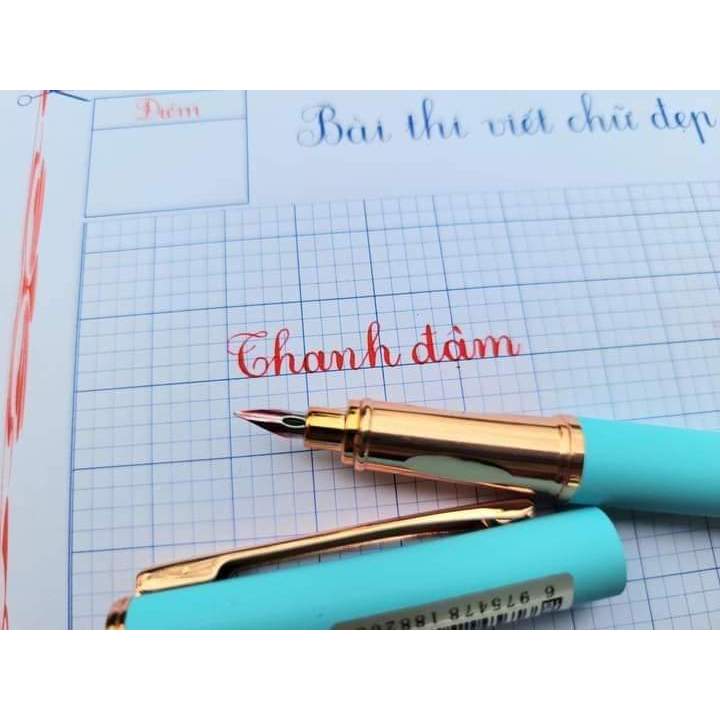 Bút máy ngòi kim tinh lá tre 820 nét thanh đậm