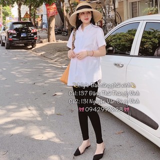 áo bầu công sở mẫu mới