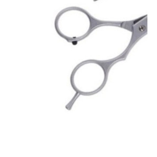 Ốc chuôi kéo-ốc quai kéo