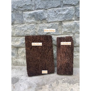 Dớn bảng kích thước 15×30 cm , trồng lan , trồng cây !