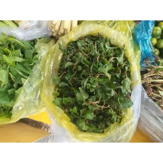 xà lách son nhật 500g
