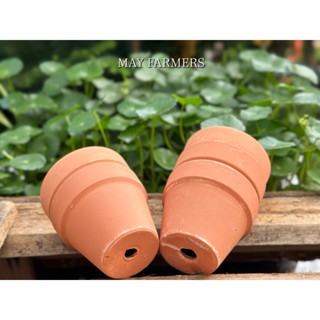    MAY   Chậu Đất Nung Hàng LỖI  Thanh Lý  Trồng Sen Đá... 