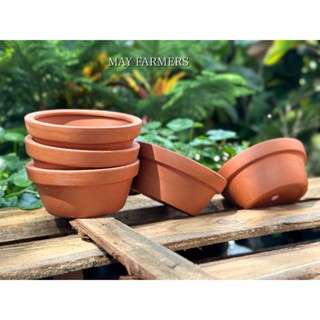 [ MAY ] Chậu Đất Nung Thao - Trồng Xương Rồng , Sen Đá , Cây Cảnh...