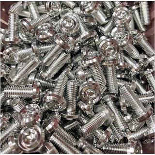 Ốc salaya 6li10, 6li15, 6li20 mẫu thái v3