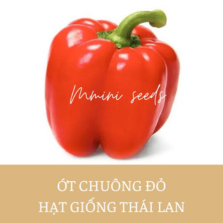 1gr hạt giống ớt chuông đỏ