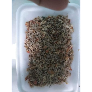 Hạt giống bình bát dây - gói 20 hạt
