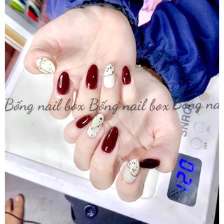 Nail box thiết kế móng úp B306