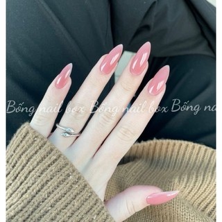 Nail box thiết kế móng úp B304