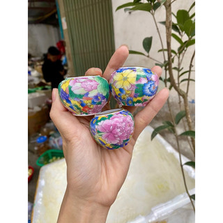 Cóng chim chào mào sứ bách hoa decal hoa các mẫu