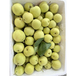 Lê xanh lào cai dòn ngọt 1kg
