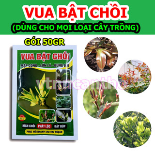 Vua Bật Chồi cực mạnh (50gr) Mai Vàng, Hoa Hồng, Cây Kiểng, Rau Màu