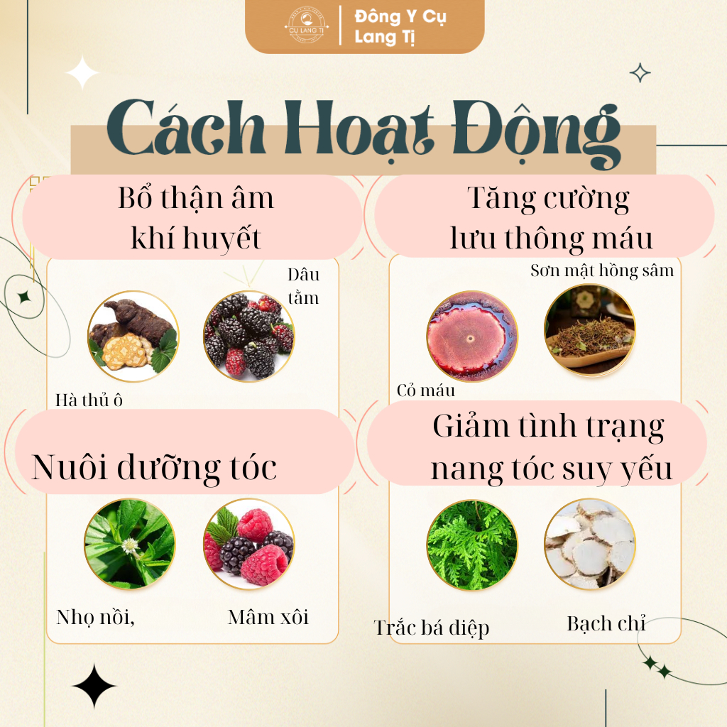 Viên Hà Thủ Ô - Viên Dưỡng Tóc -Cụ Lang Tị- Hỗ Trợ Giảm Rụng Tóc, Tóc Bạc Sớm, Giúp Đen Tóc, Mọc Tóc Bổ Máu, Bổ Thận Âm
